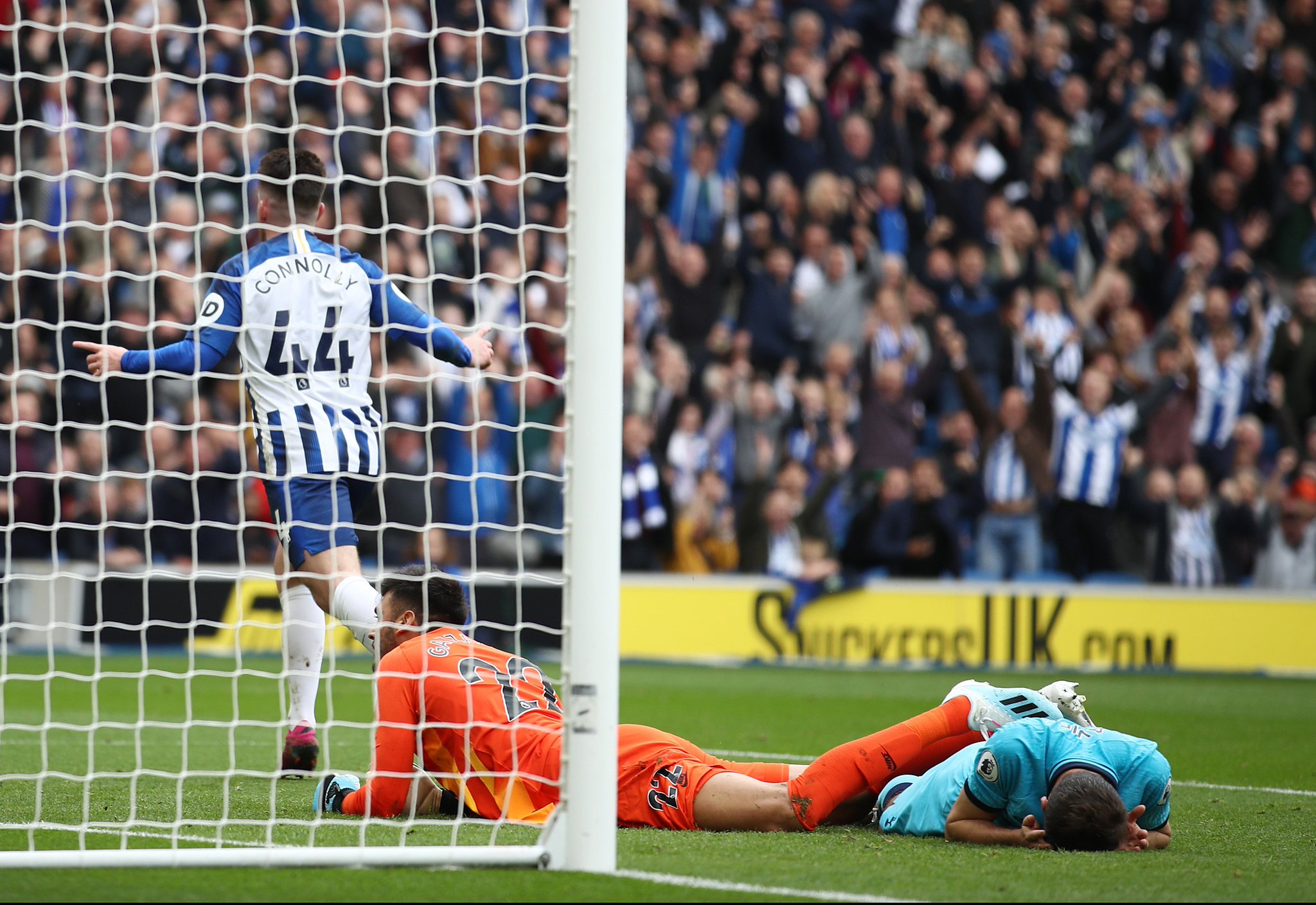 波波维奇的 波波维奇的